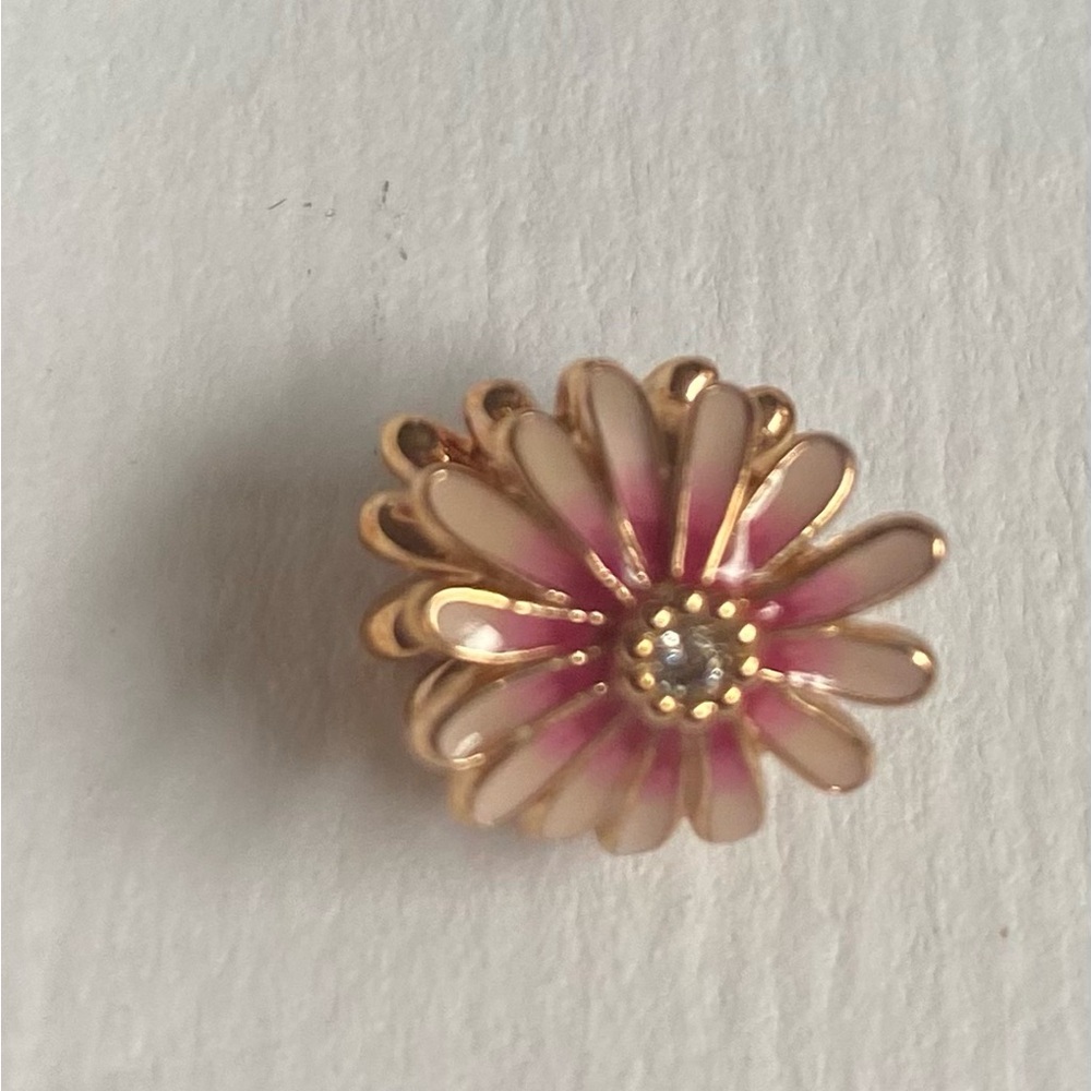 Authentic Pandora charm